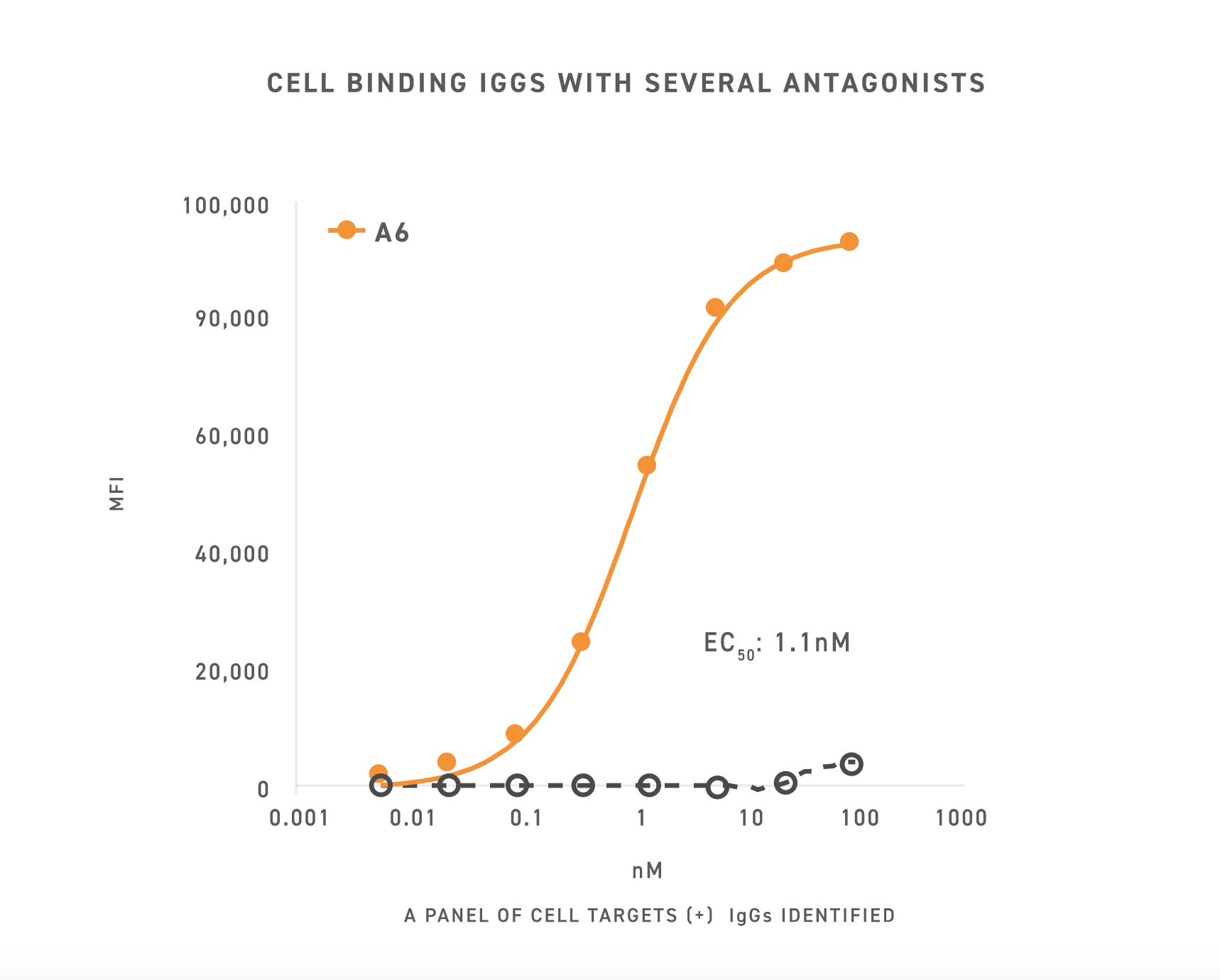 GPCR 细胞结合