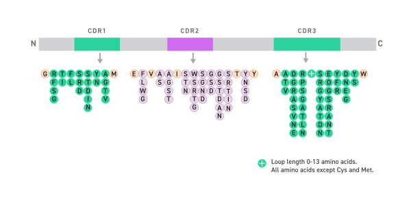 VHH Schematic 