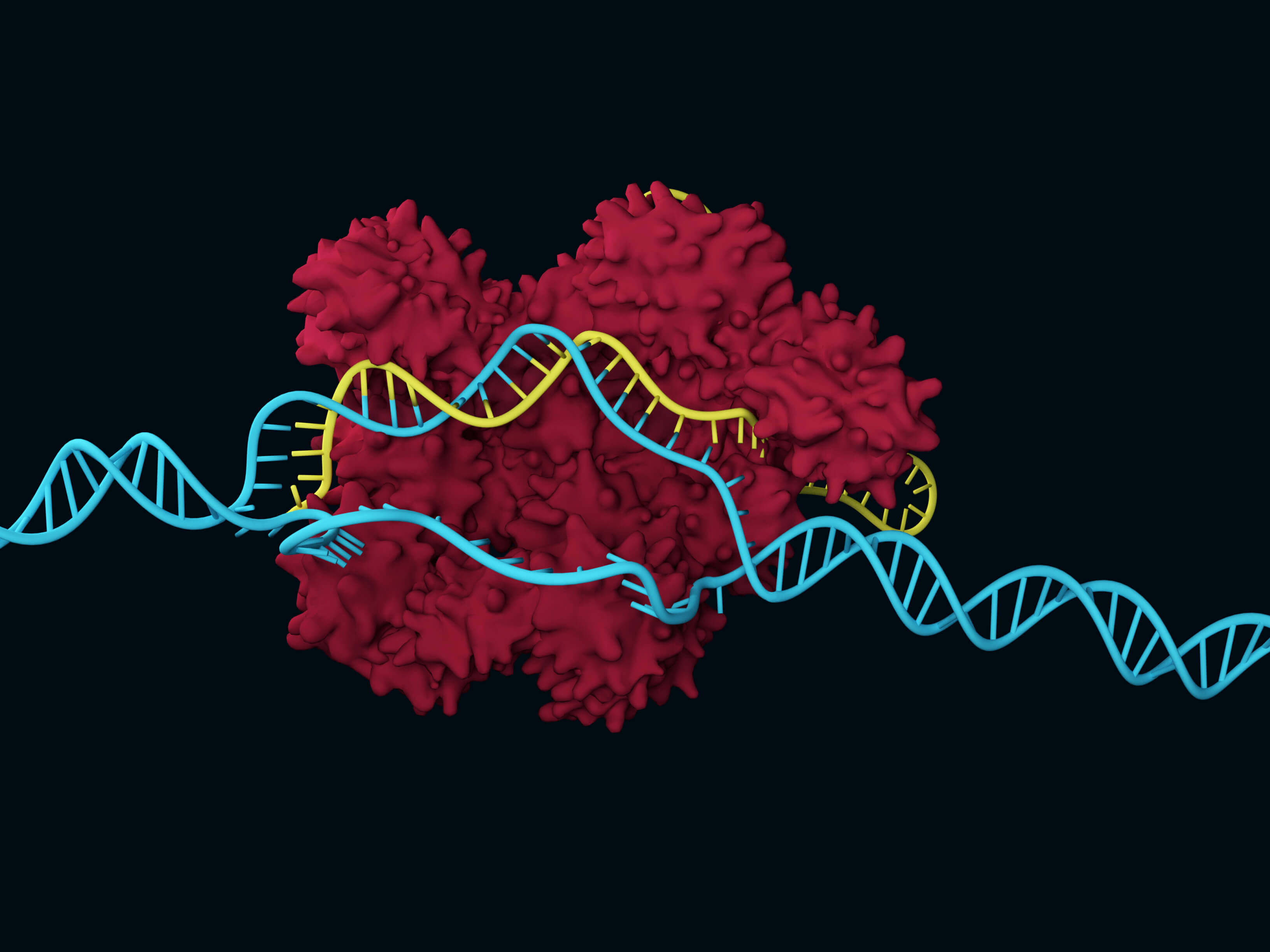 CRISPR and Twist DNA were used to speed up the discovery of covalent, antimicrobial drug targets