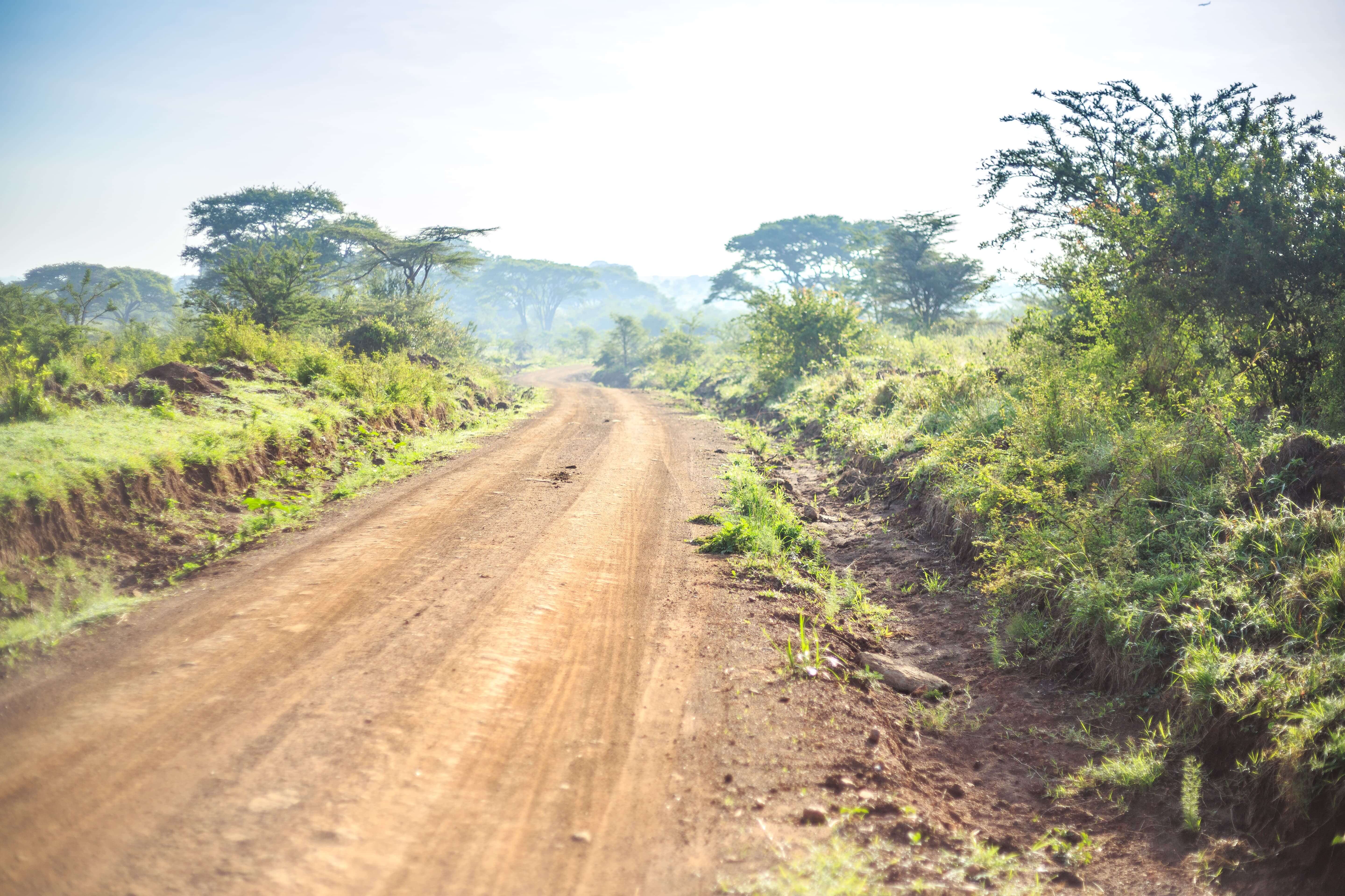 Tracking Nigeria’s Monkeypox Outbreak with Next Generation Sequencing