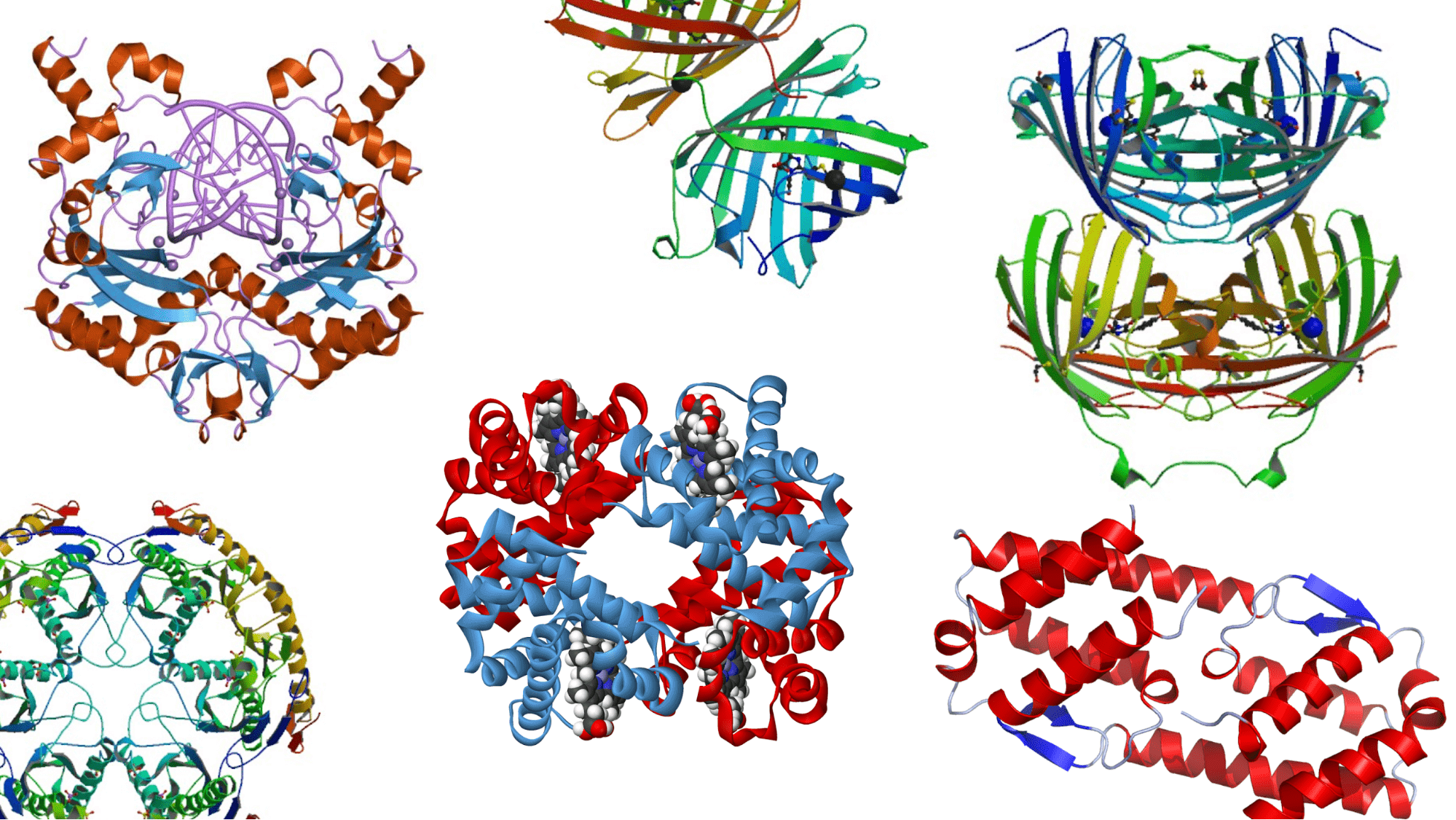 Solid-Phase DNA Synthesis - The Future of Protein Engineering