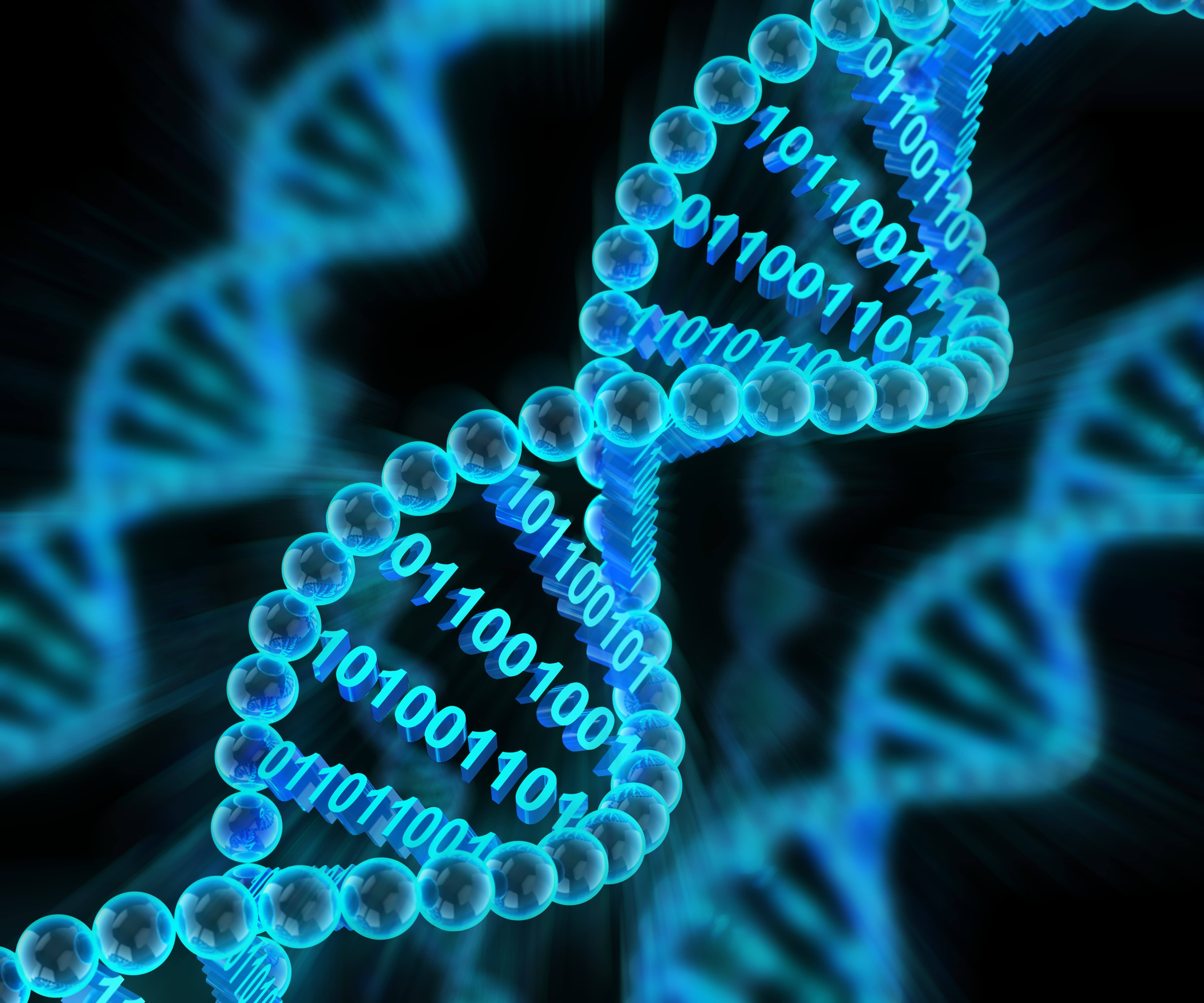 Наследственная информация ген. Геномная ДНК. Молекула ДНК человека. ДНК гены геном. Молекула ДНК гены.