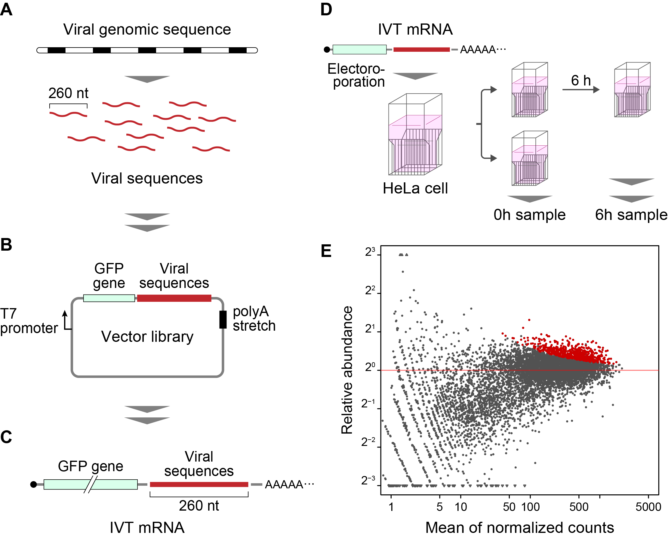 Flux de travail de la mise en mosaïque du génome pour Fate-seq