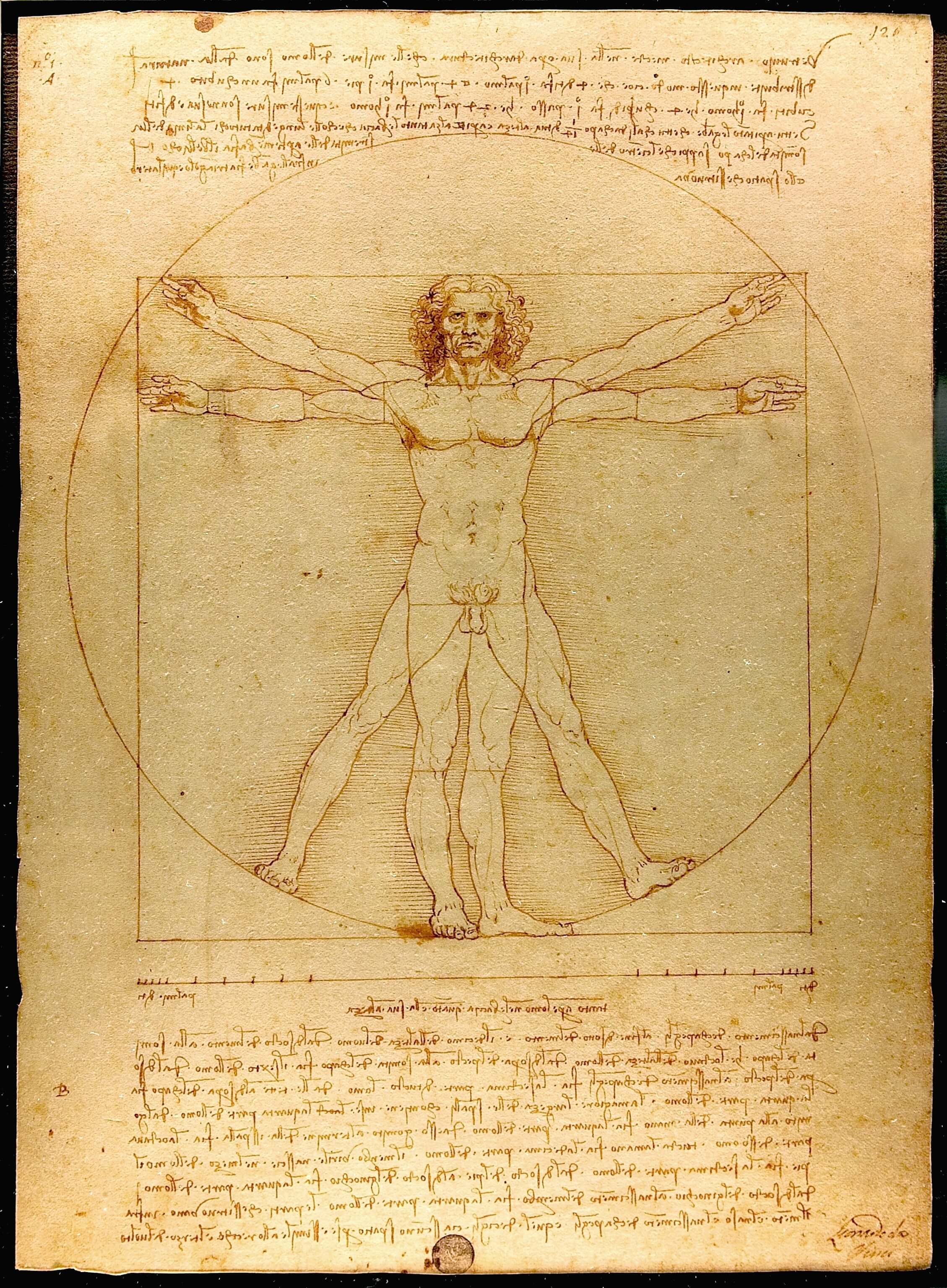 El hombre de Vitruvio de Da Vinci es un antiguo ejemplo de CTIM frente al arte
