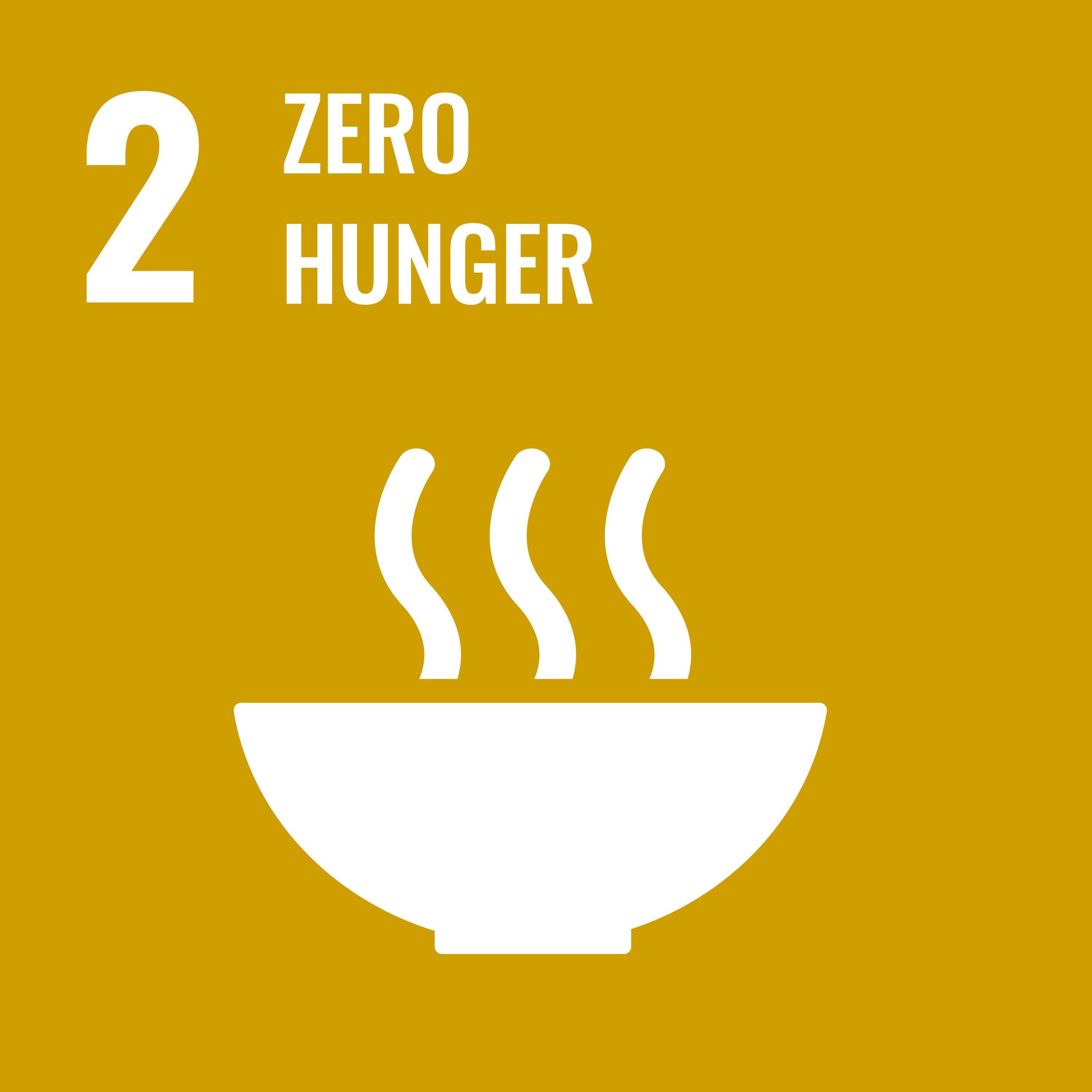 Zero Hunger Logo
