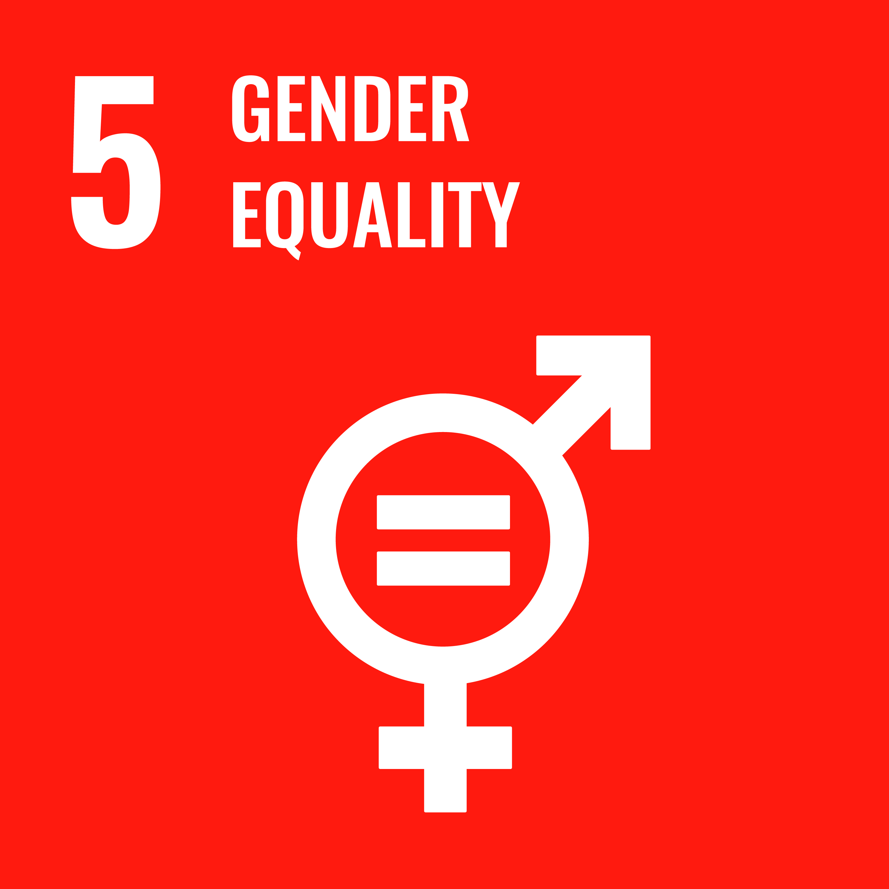 Gender Equity Logo