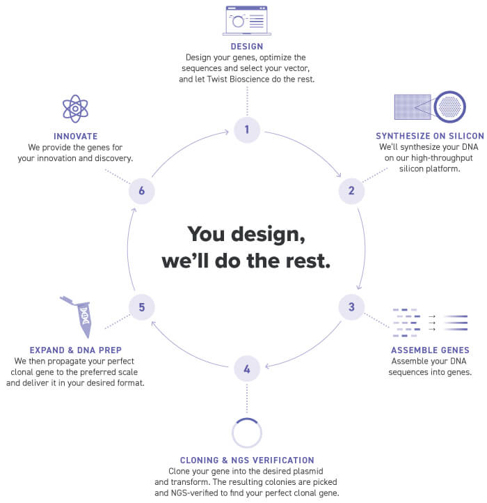 Potential oncogenes and their control elements can be further investigated through the expression of specific proteins to gain a window into their impact on cell health. The ability to rapidly design and order multiple genes containing variants at the single nucleotide polymorphism resolution provides an efficient method to gather actionable data at both the basic science and translational research levels. 