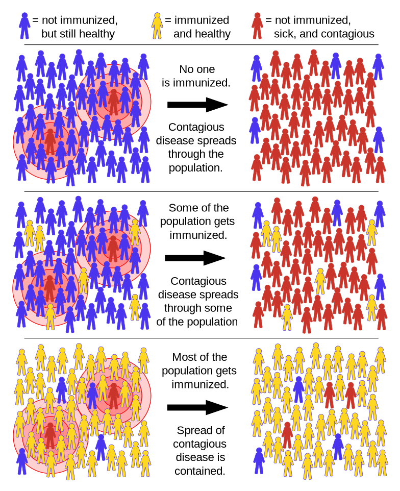 descripción gráfica de la inmunidad de rebaño
