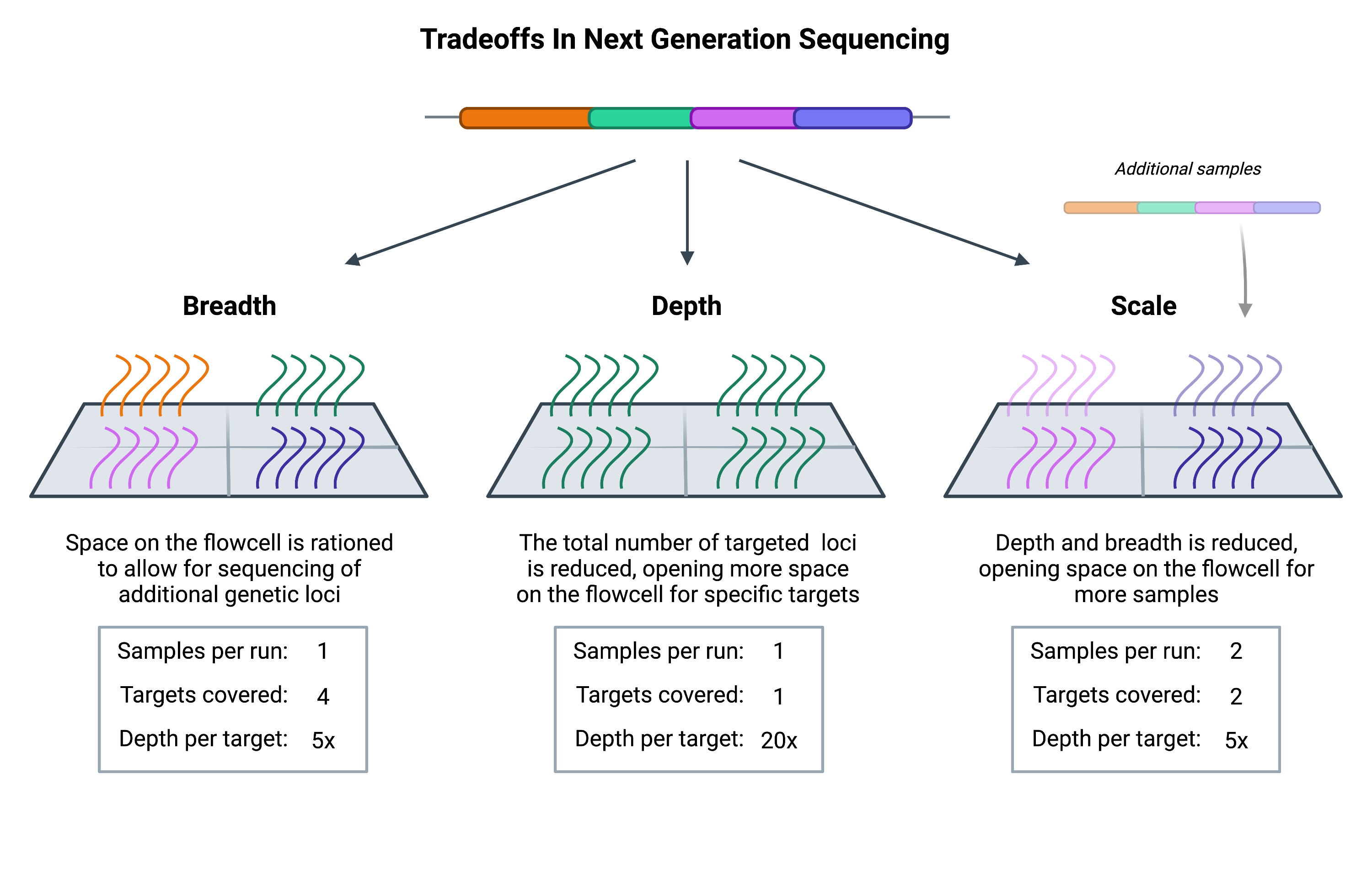 Image showing the consideration when balancing breadth, depth, and scale in NGS sequencing. 