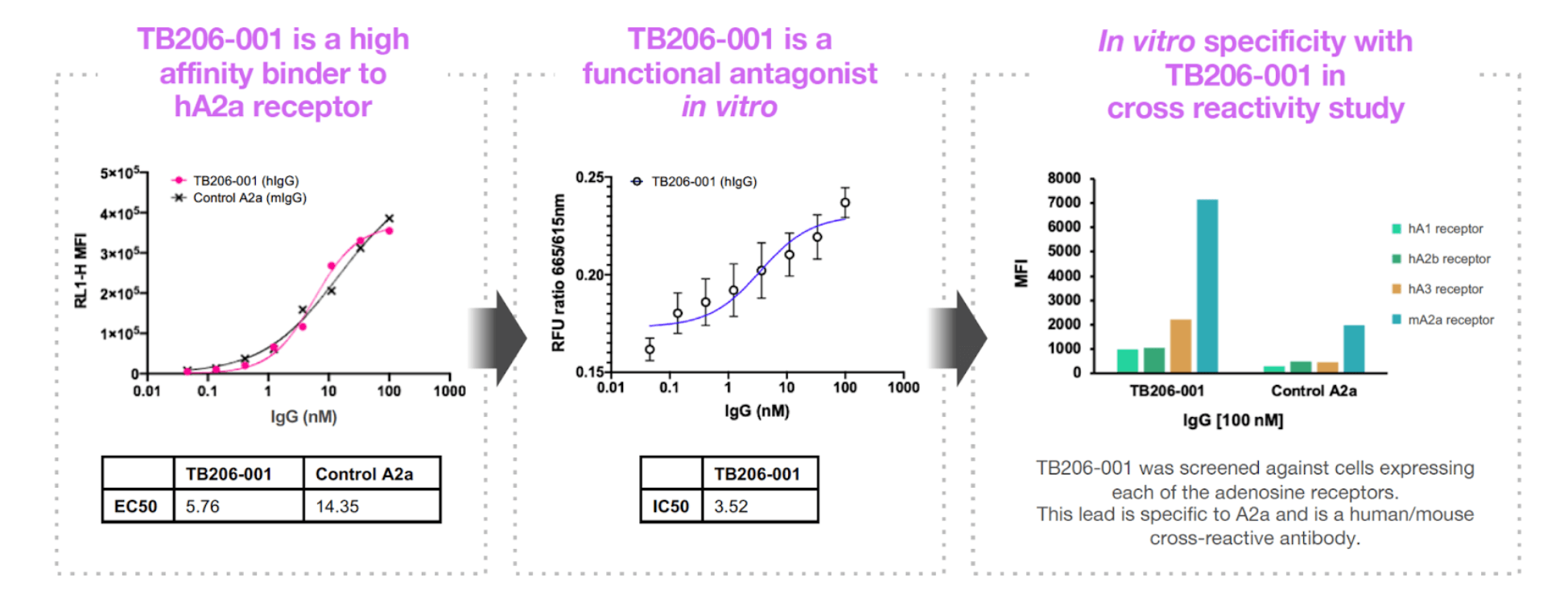 IC50 and EC50 curves for Twist Biotherapeutic Antibody candidates. 