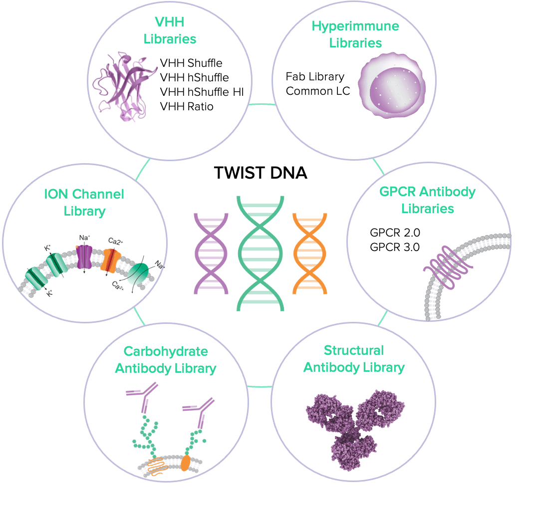 Library of Libraries overview, complete tools for antibody discovery