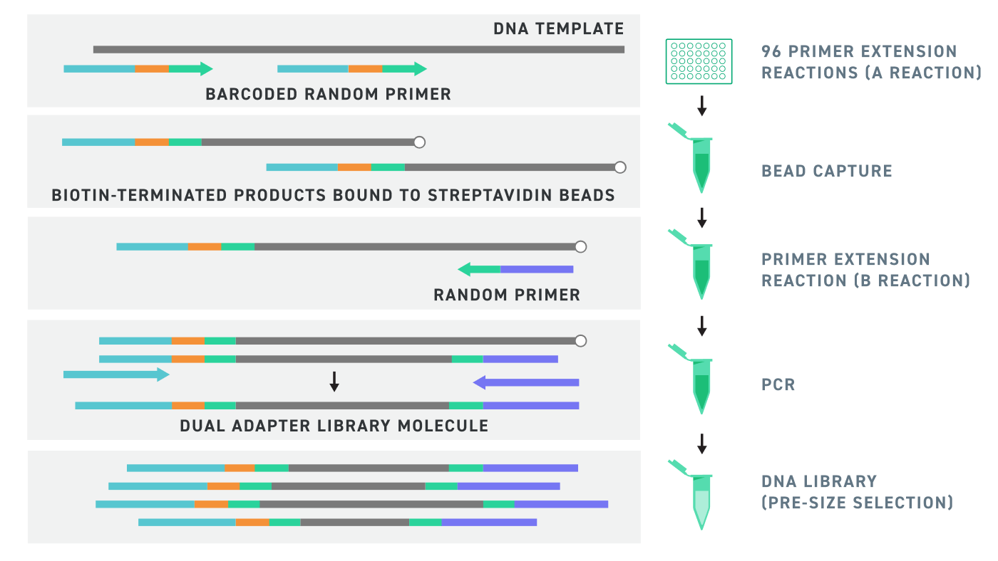 Twist 96-plex Library Prep Workflow