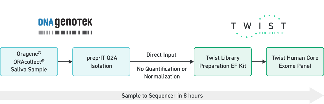 Le procédé complet DNA Genotek+Twist Bioscience permet d’amener un échantillon au séquenceur en 8 heures.