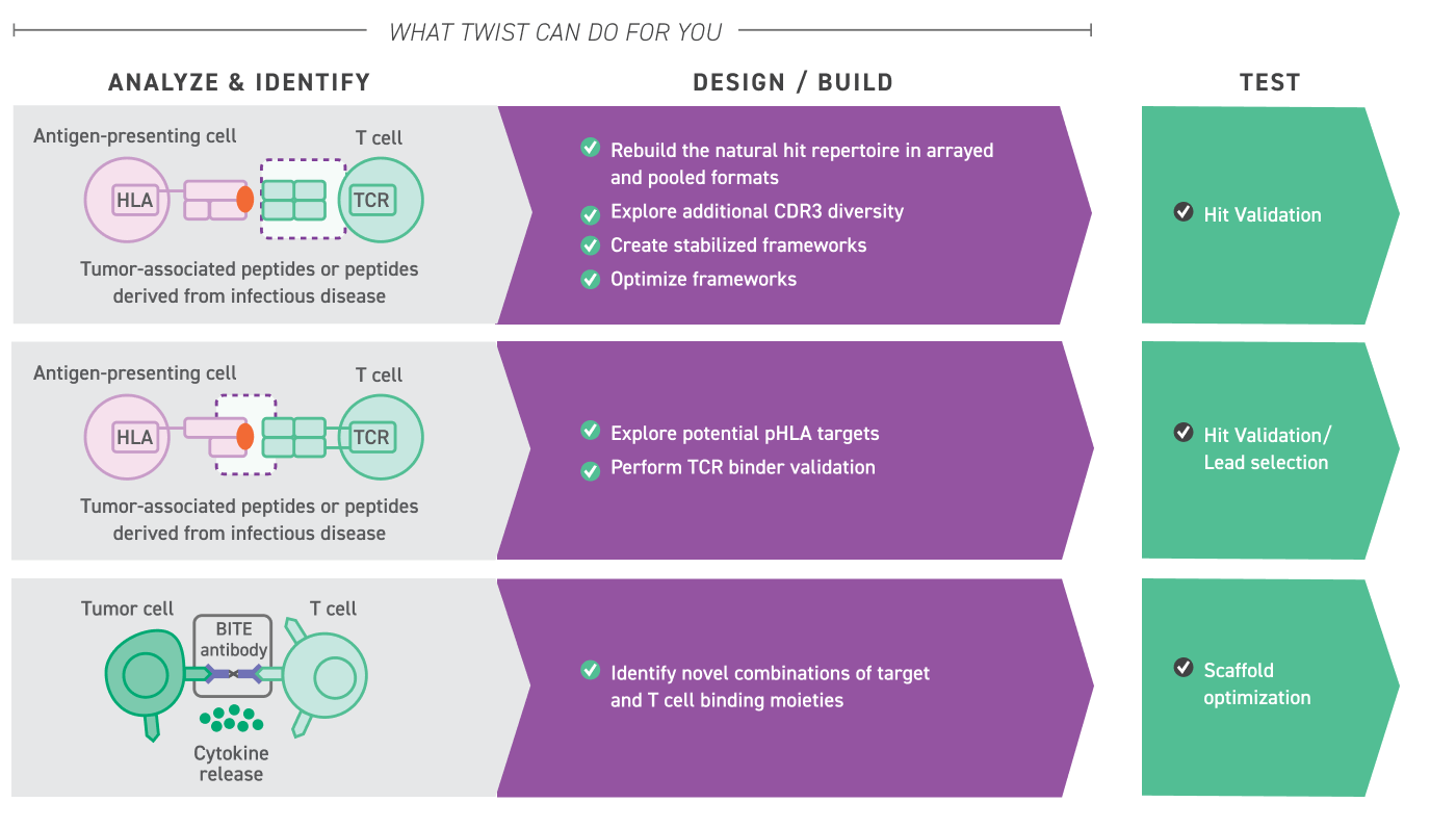 récepteur d'antigène