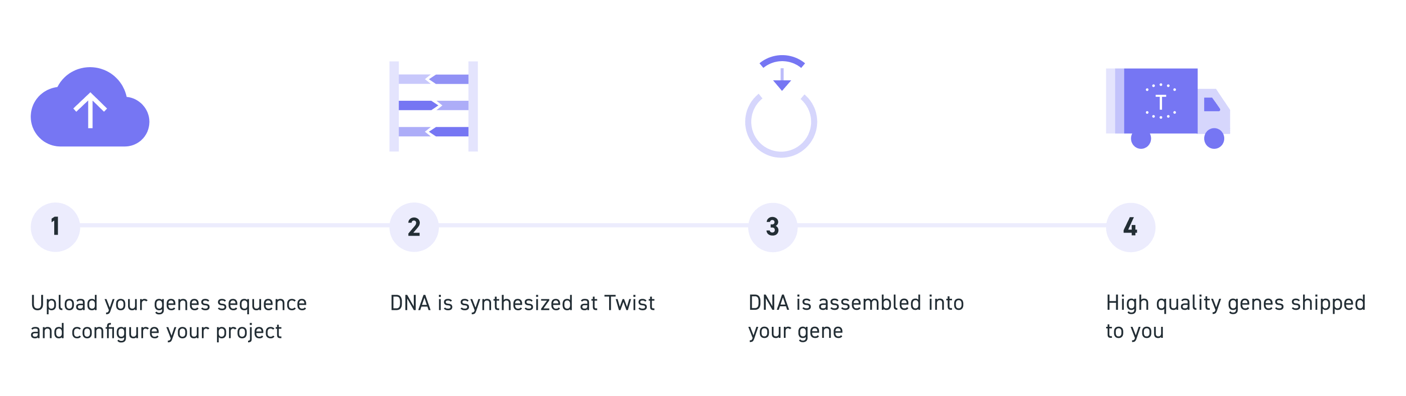 Gene Dna Sequence
