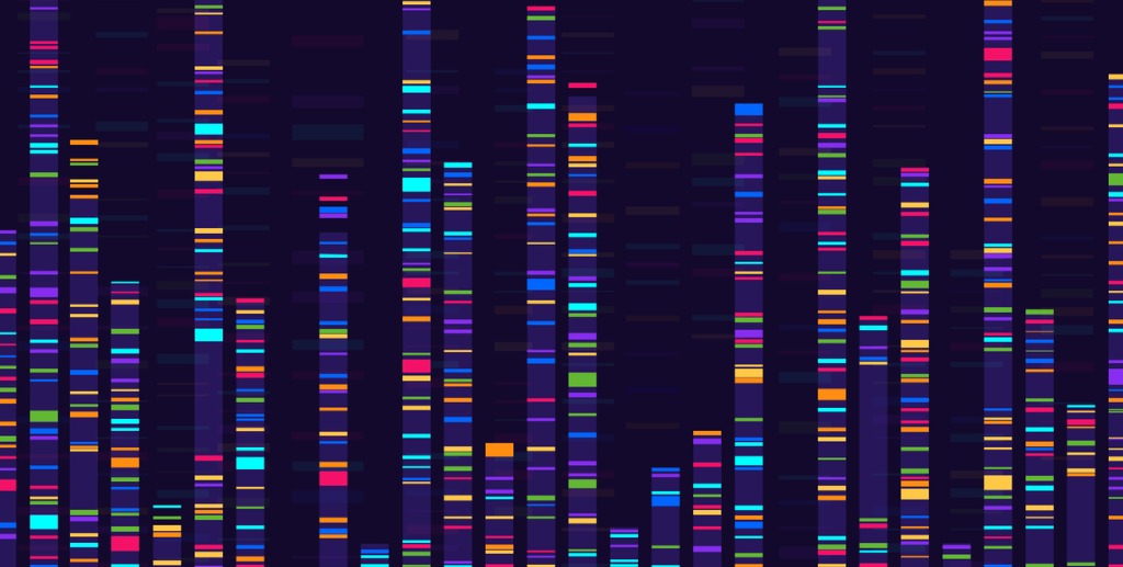 DNA ladder representing sequencing results
