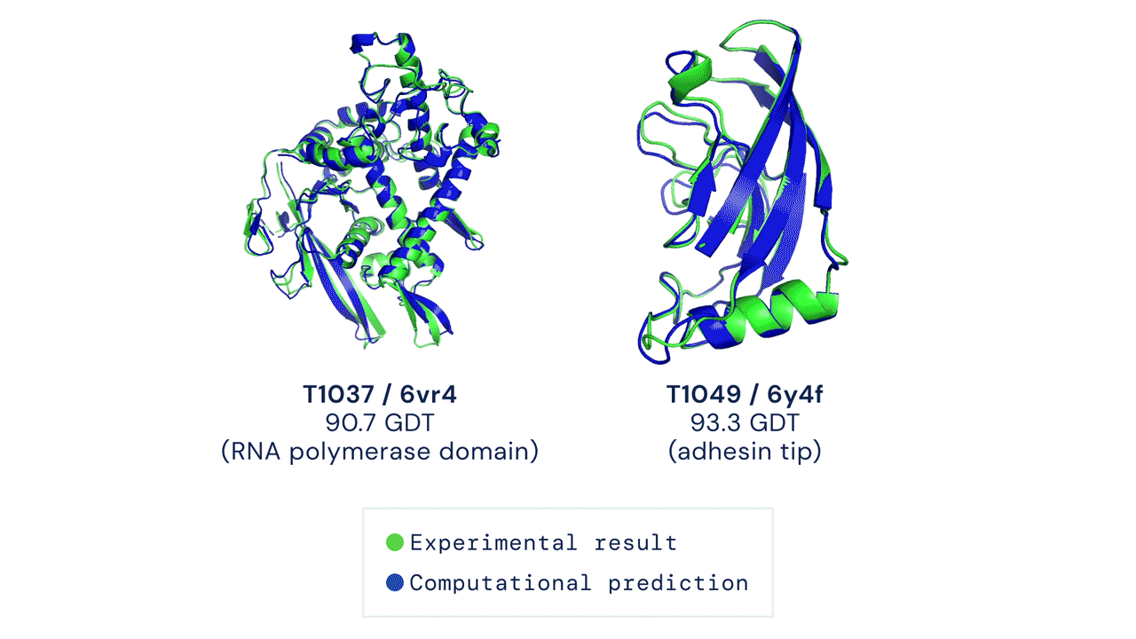 Two protein structures predicted by AlphaFold overlaid onto their experimentally deduced structures