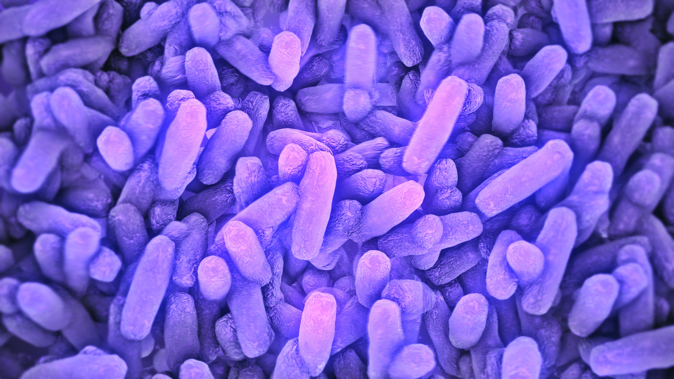 Rendering of rod-like bacteria in a mat