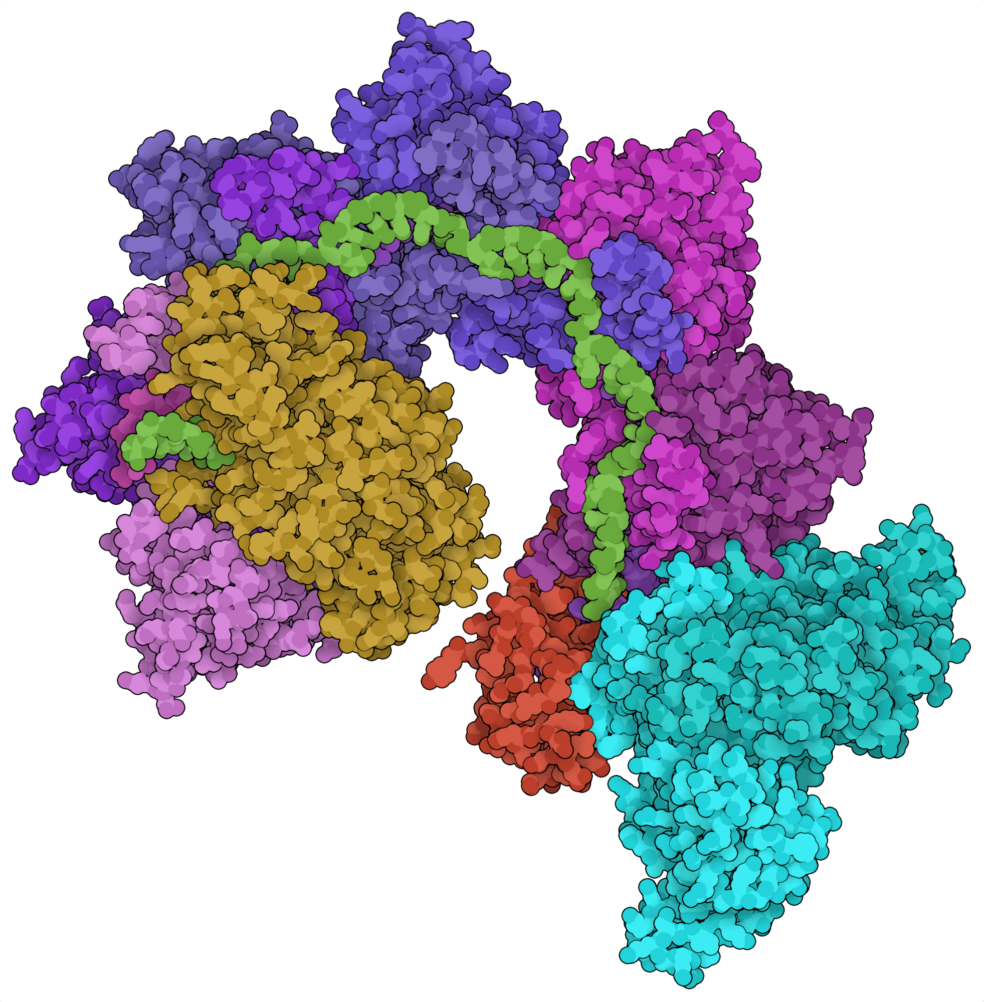 Proteinstruktur der Klasse 1 Typ I-F-Cascade