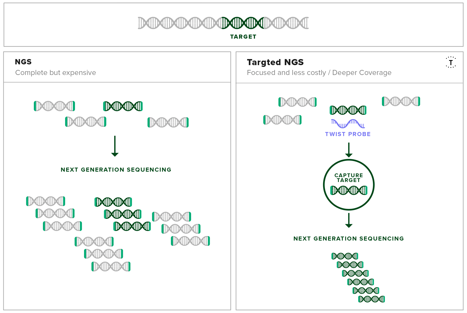 Target Capture Diagram For Infectious Disease Testing