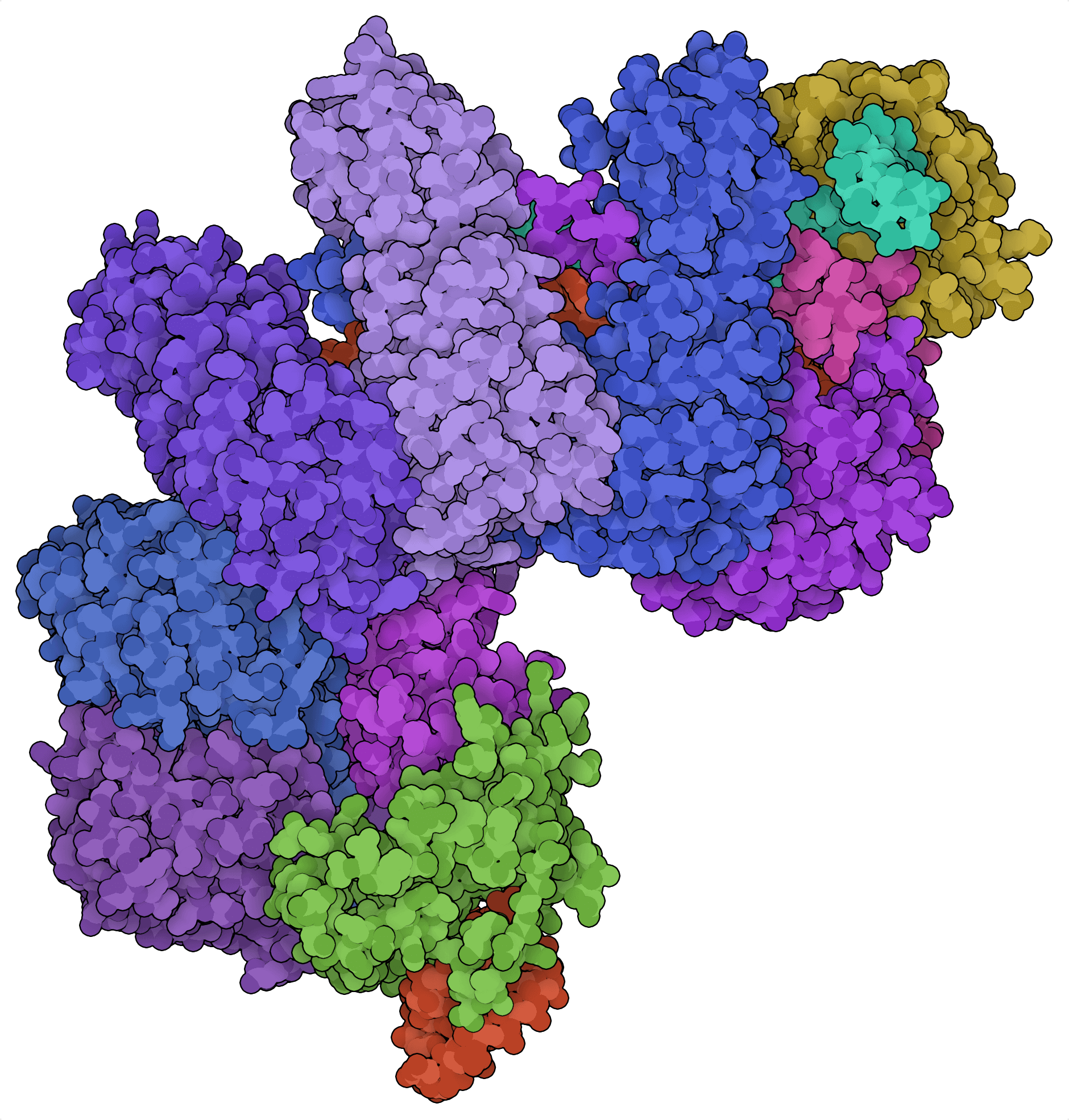 Structure des protéines de TfCascade
