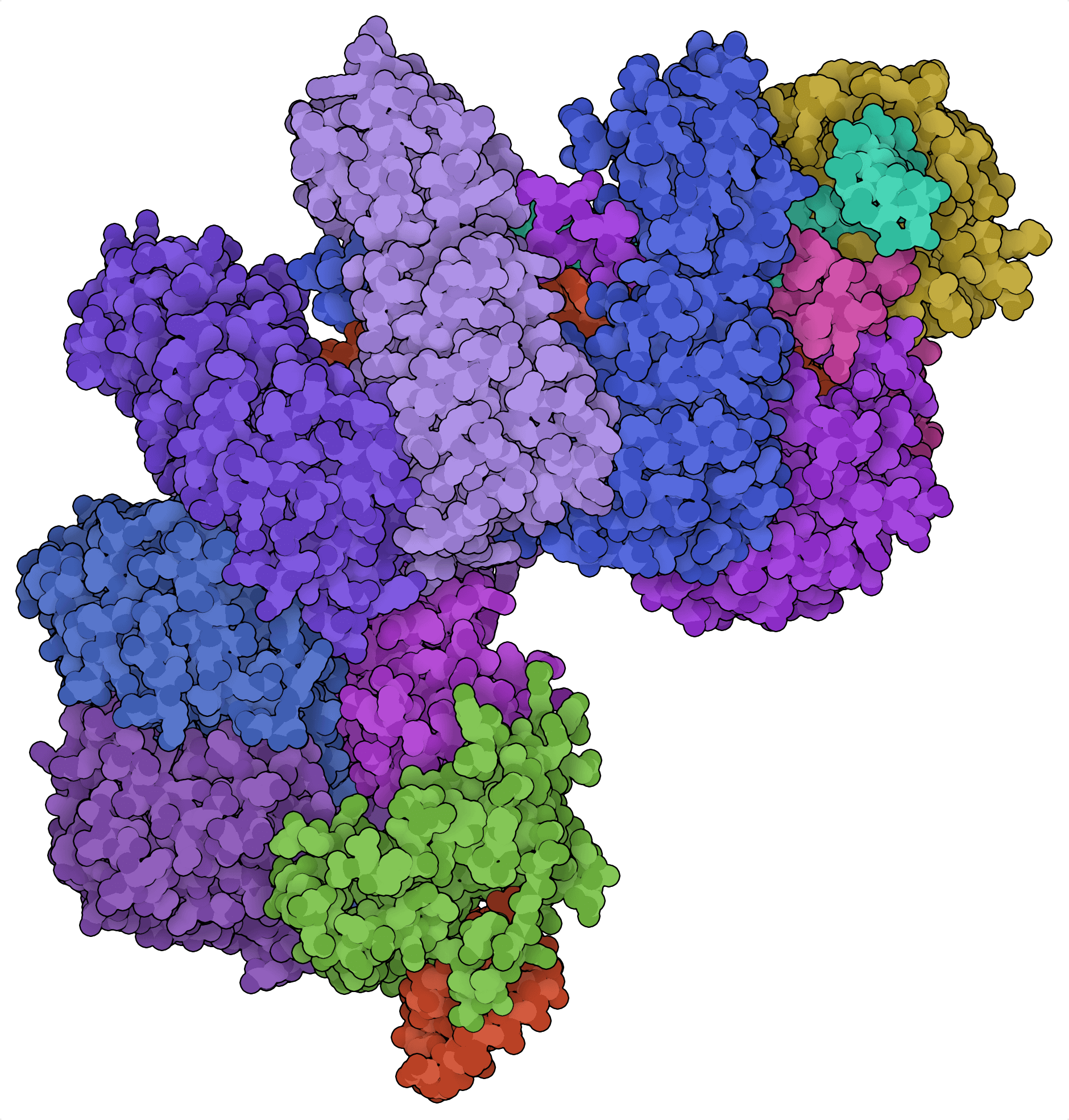 Estructura proteica de factor de transcripción de cascada