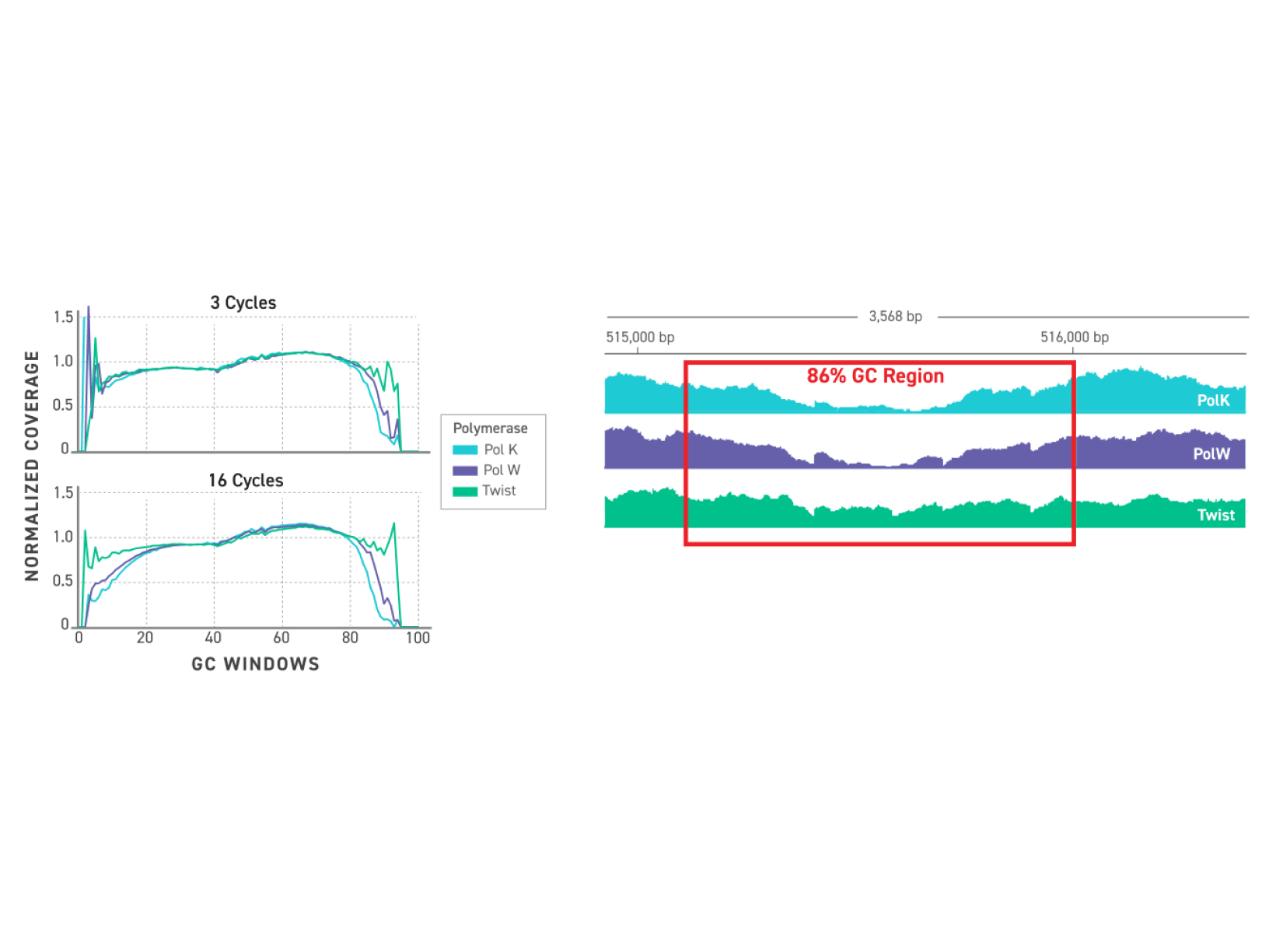 Low-bias amplication