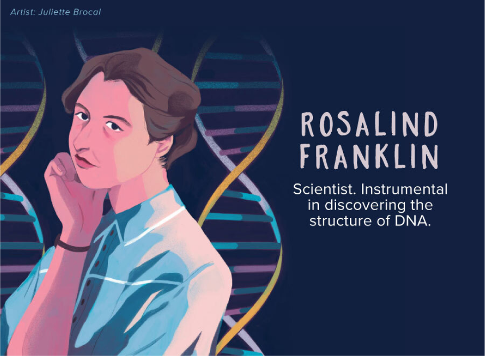 Cartoon rendering of Rosalind Franklin with DNA helix in the background.